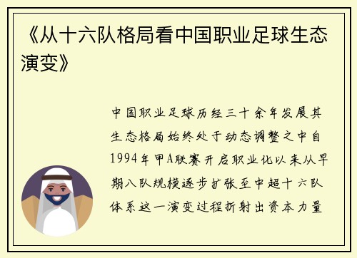 《从十六队格局看中国职业足球生态演变》